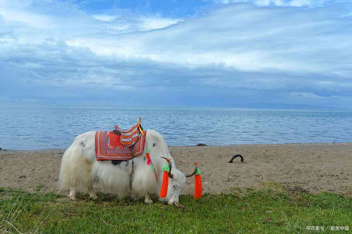 青海茫崖翡翠湖简介